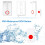 Emergency Alarm System 4G 433MHZ SOS Two-Way Intercom Call One-Button Rescue Host for Elderly Help EU Plug 6