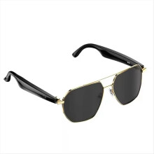 W100C Smart AI Translation Glasses Multilingual Voice Translator Eyeglasses BT Call Music Earphone Sunglasses UNISEX