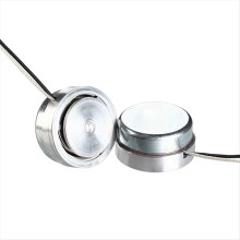 2Pcs 30MM Vibration Resonance Speaker 4 Ohm 8W Mini Full Range 1.2 Inch Speakers Double Magnet DIY