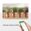 Tuya WiFi Smart Watering Machine Irrigation Automation Timer Cycle Soak Work for Remote Voice Control 7