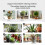 Tuya WiFi Smart Watering Machine Irrigation Automation Timer Cycle Soak Work for Remote Voice Control 5