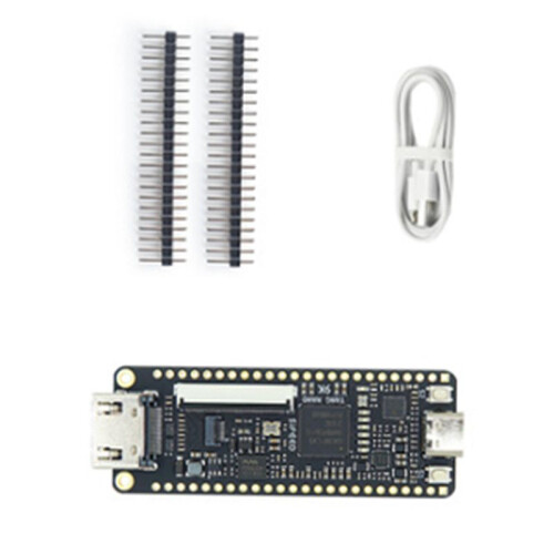 Tang Nano 9K FPGA Development Board GW1NR-9 RISC-V Kit 2