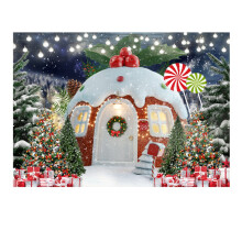 250X180cm Christmas Background Cloth Snow House Multifunctional Convenient Photography Cloths