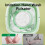 6L Mini Washer with Drain Basket Foldable for Apartment A EU Plug 5