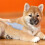 Pet Hair Roller Extra Sticky For Pet B 6