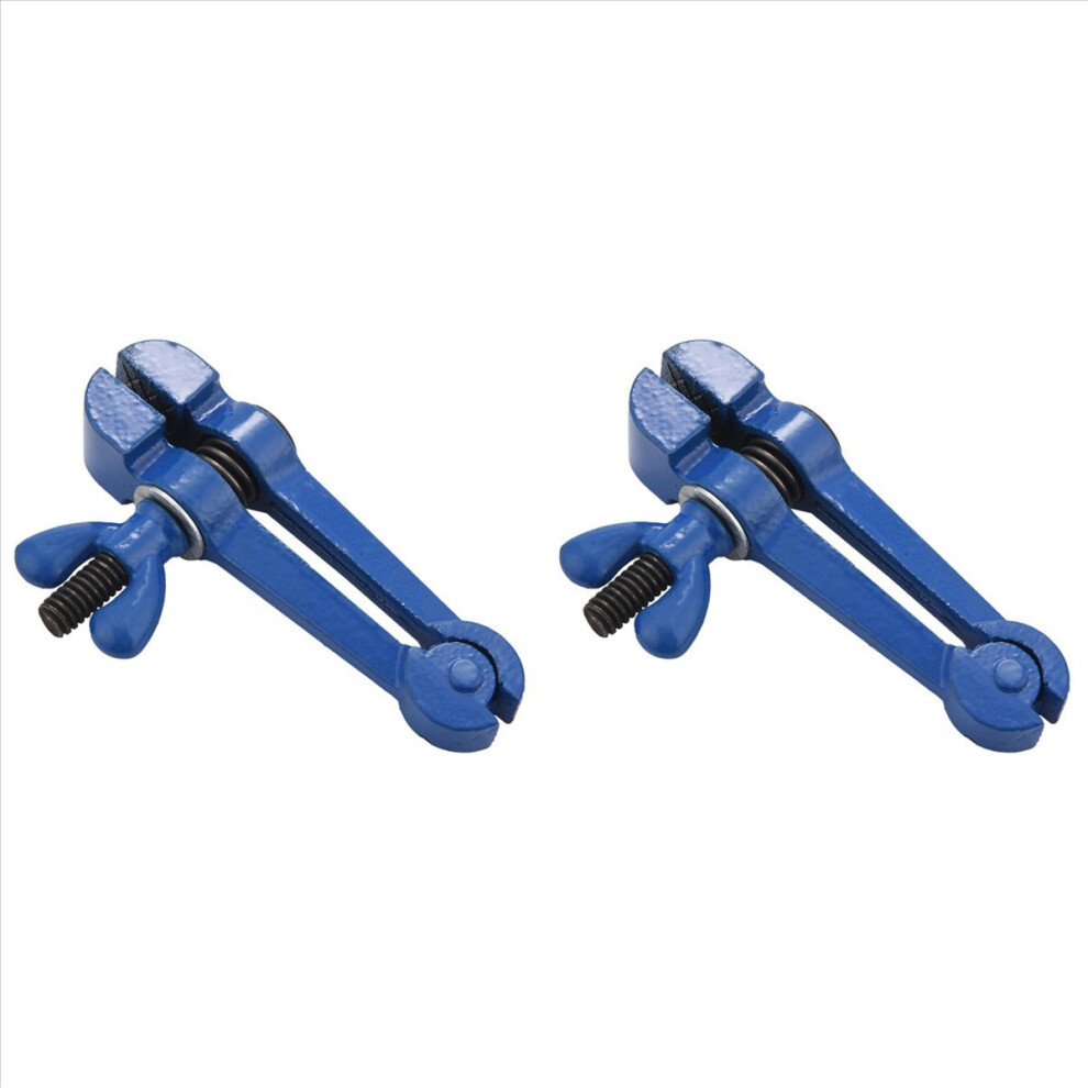 Mini Hand Pliers Small Vise Jaws Deputy 25Mm Precision Vise 4712746167638