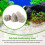 Floating Real Rocks Aquarium Landscape Models:S Diameter 4-5CM 3Pcs 7
