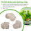 Floating Real Rocks Aquarium Landscape Models:S Diameter 4-5CM 3Pcs 6