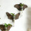 Butterfly Wall Mounted Breeding Station, Hanging Plant Holders, B 2