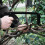 Portable Folding Saw for Outdoor Camping, Compact and 2