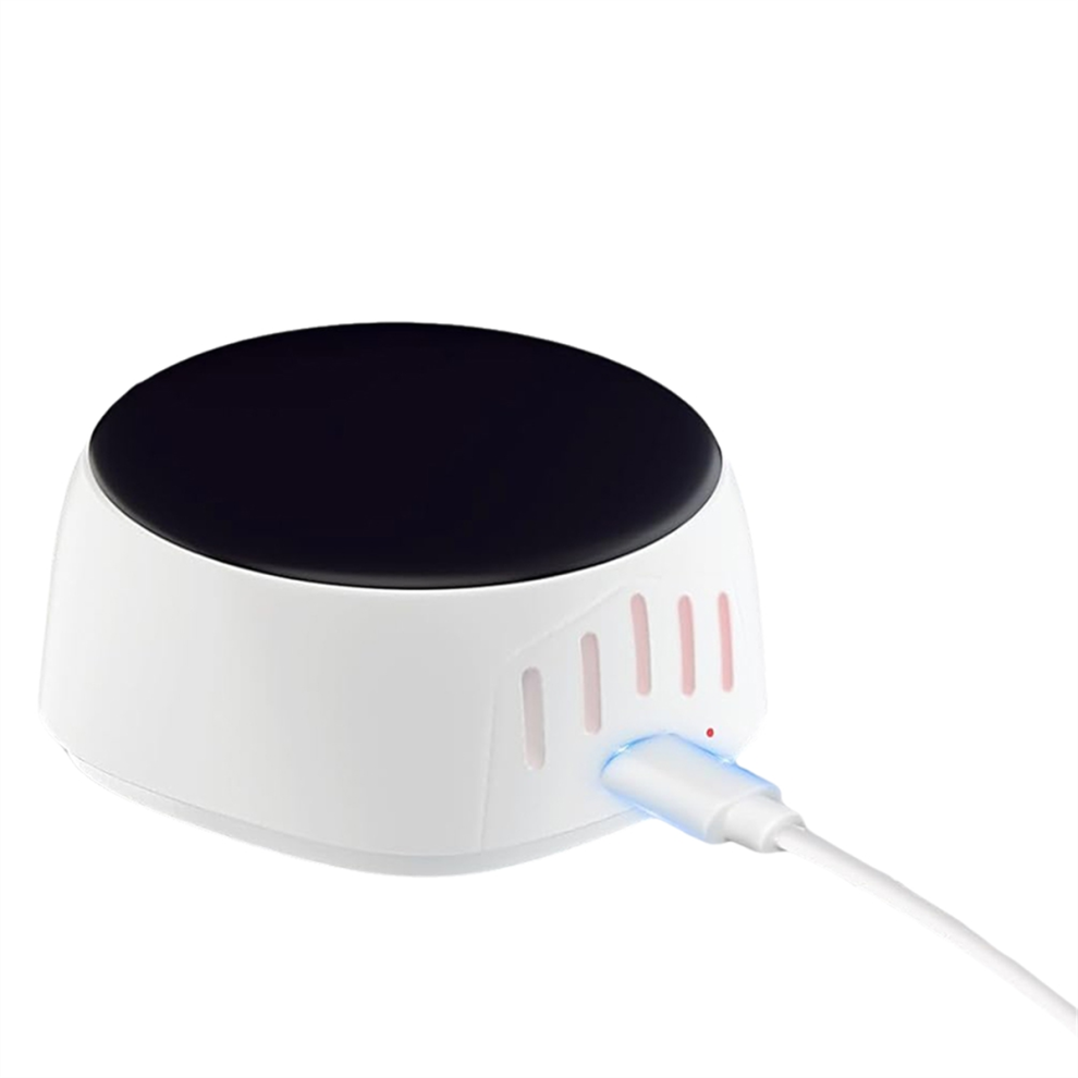 Toothbrush Case Sterilizer, Sterilizer with Fan Drying Function