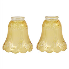 2PCS Ceiling Fan Chandelier Frosted and Clear Glass Light Lamp Shade