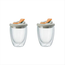 Double Wall Glass Water Cup with Leak-Proof Lid - Insulated Orange