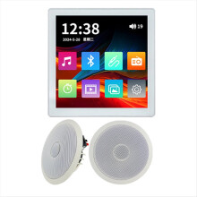 Bluetooth Wall Amplifier Touch Screen Audio Control Panel