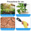 Soil Phosphorus Meter 4