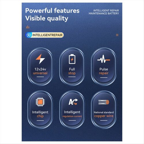 High Power Full Automatic Car Battery Charger for Lead EU Plug 2