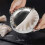 Dumplings Maker 8 PCs,Empanada Mold and Cutter,Stuffing Spoon 3