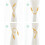 (Gold) 2 - Pack Twist - Tie Curtain Holdbacks  Assorted Styles Home & Window Decor Drape Ties 5