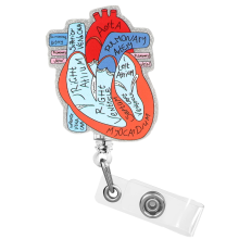 (Red-Sliver) Heart-shaped Retractable ID Badge Holder with Clip for Name Tags, Nurse, Doctor, Student, Teacher, Office, Clinic, Medical Assistant