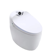 Innovatief ontwerp 2024: Betaalbare, volledig automatische, keramische, verwarmde elektronische bidet voor badkamers