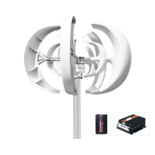 Powerful 1kW Vertical Wind Turbine Generator with 24V/12V Magnetic Dynamo and AC 220V Inverter Output for Home Use