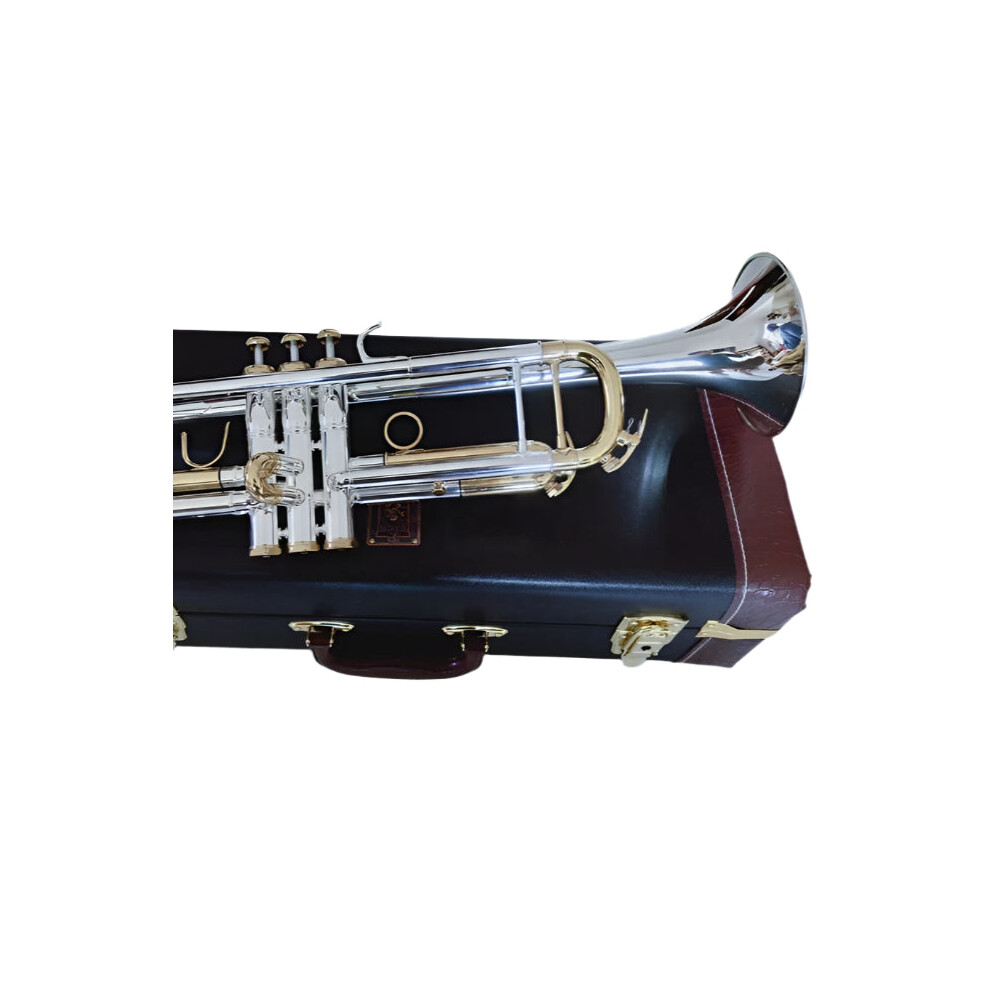 Bach Lt180s 72 Professional Plated Bb Trumpet With Case Silver 7445022176167