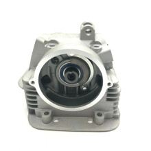 Yamaha Timberwolf 250 Jianshe JS250 Cylinder Head & Valve Assembly for ATV/UTV