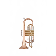 Elite Bach BB Cornet - Phosphorous Copper Trumpet with Deluxe Carrying Case & Gloves