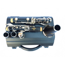 Buffet Crampon R13 Professional Bb Clarinet with 17 Keys, Case & Accessories