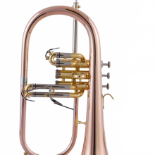 Premium Gold Phosphorus Copper Flugelhorn with Case & Mouthpiece - I for Professional Musicians