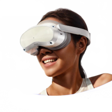 Pico 4 Pro All-in-One VR Headset with 2.56 Fast LCD Screen, 105 FOV, Steam VR & Metaverse Compatibility