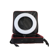 Yidoblo FD 480II Pink Bi-Color LED Ring Light with Carrying Bag - 5500K Studio Lighting for Photography & Video