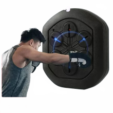 Smart Boxing Trainer: Interactive Wall-Mounted Electronic Punching Bag for Home Fitness and Reflex Training