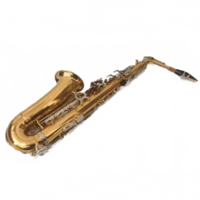 Elite Gold Series Alto Saxophone with Silver-Plated Keys