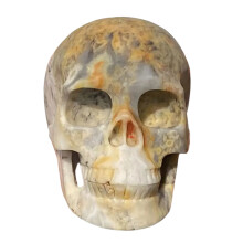 Mexican Crazy Agate Skull - 12cm Natural Stone Healing Crystal for Reiki, Wicca, and Halloween Decor