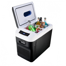 Tragbarer Mini-Kühlschrank fürs Auto: Kühlschrank für Zuhause, Hautpflege, Camping & Outdoor – Dualspannung AC110V/220V für Wohnmobile & LKWs
