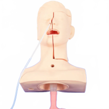 Advanced Sputum Suction Training Model with Nasal and Oral Insertion Simulation
