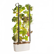 Slimme hydrocultuurtuinset voor binnen met 12-pots tray voor moeiteloos tuinieren thuis