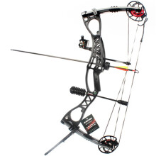 Junxing M122 Compound Bow: 40-70 lbs Archery Set for Competition, Practice, Target, Outdoor Hunting & Shooting