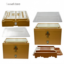 Robustes Langstroth-Bienenstock-Set aus Kunststoff für die Imkerei (Apis mellifera)