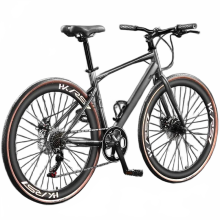 Ultralichte Grylls racefiets: supersnelle racefiets voor tieners en volwassenen met gebogen en platte handgrepen