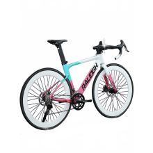 Ultralichte aluminium racefiets met hydraulische remmen en volledig interne bedrading
