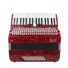 Professional 48 Bass Accordion with 34 Keys & Strap - Includes Carry Bag for Performances & Teaching