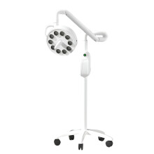 Draagbare 30W LED schaduwloze koudlicht tandheelkundige chirurgische lamp voor onderzoek en tandartsstoel