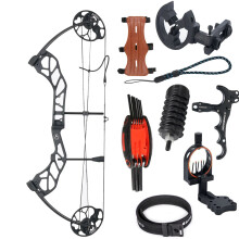 Adjustable Compound Bow Archery Set - 19-70 lbs Draw Weight, IBO 320 FPS, I for Outdoor Hunting & Target Shooting with Accessories Kit