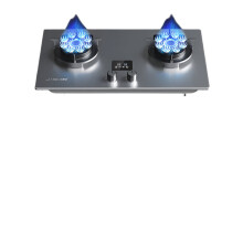 Dual Burner Embedded Gas Stove: Adjustable Heat for Natural & Liquefied Petroleum Gas