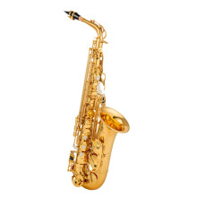 Professional Japanese Alto Saxophone in Gold - Complete Set with Band Mouthpiece, Reed, Aglet & More