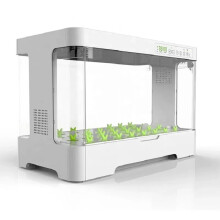 Automated Indoor Hydroponic Grow Box with LED Lighting for Soilless Home Cultivation