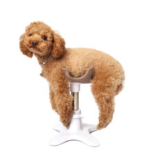 Pet Grooming Station: All-in-One Shower Fixture, Hair Dryer, and Adjustable Beauty Table