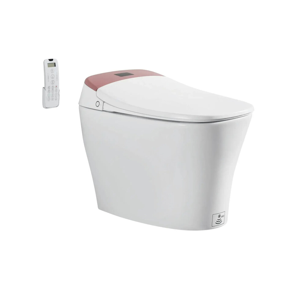 Sundream 2024 Smart Toilet - Floor Mounted Intelligent Bidet Wc With Advanced Features 313051510528